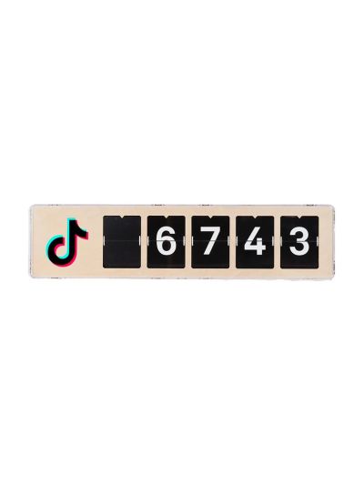 Smiirl Real-Time TikTok Counter - 5 cifre